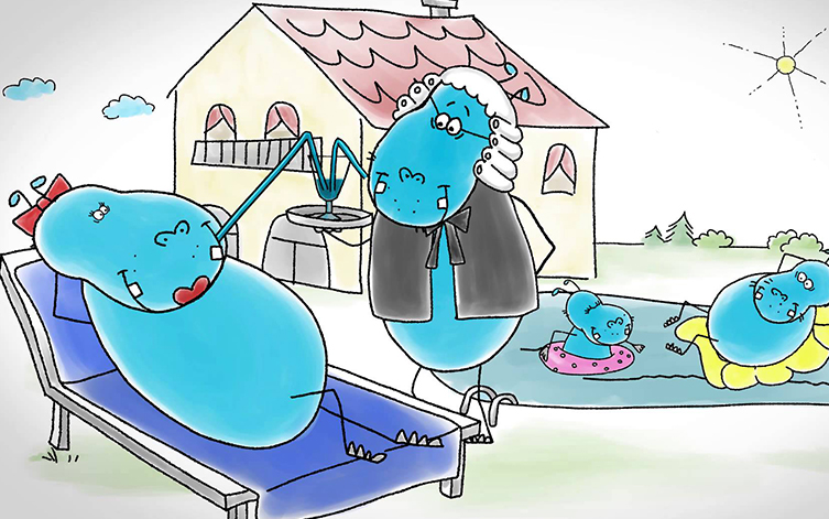 Studija primjera Hypo alpe adria bank