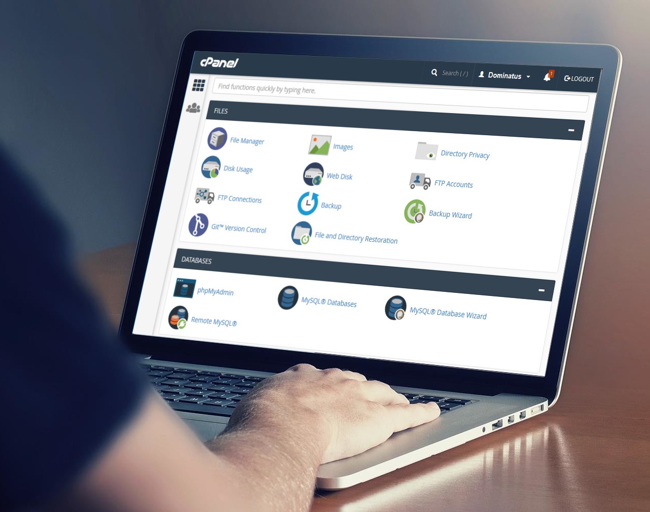 Dominatus web hosting cpanel